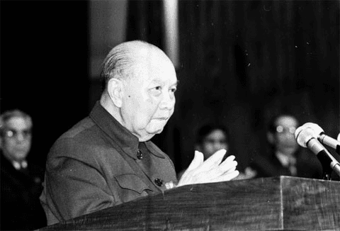 Đồng chí Tổng Bí thư Trường Chinh.
